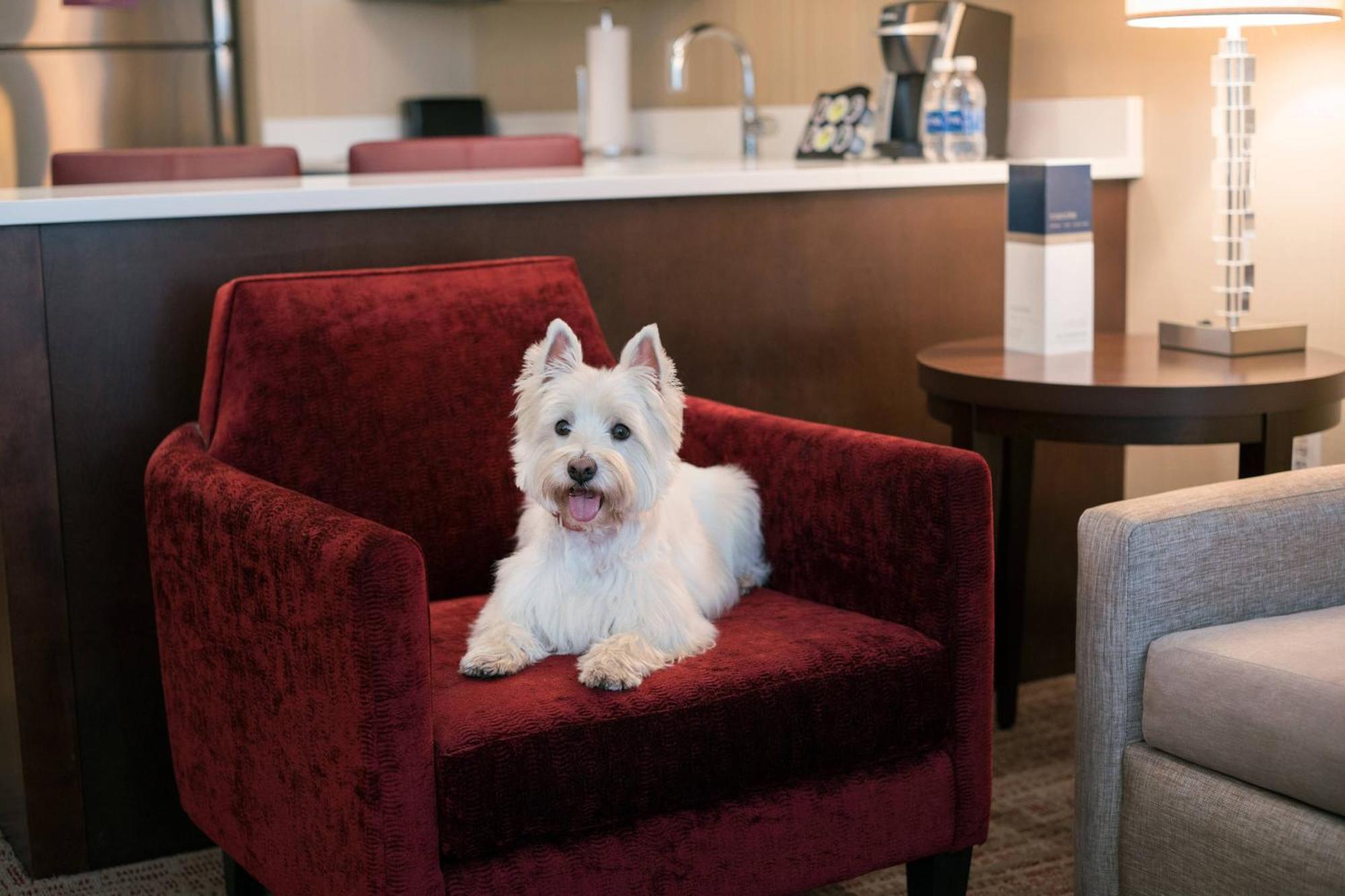 Residence Inn By Marriott Chicago Downtown/Loop Bagian luar foto